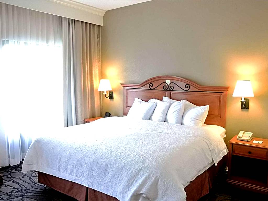 Hampton Inn & Suites Birmingham-Pelham - I-65: King Suite (Pelham) 