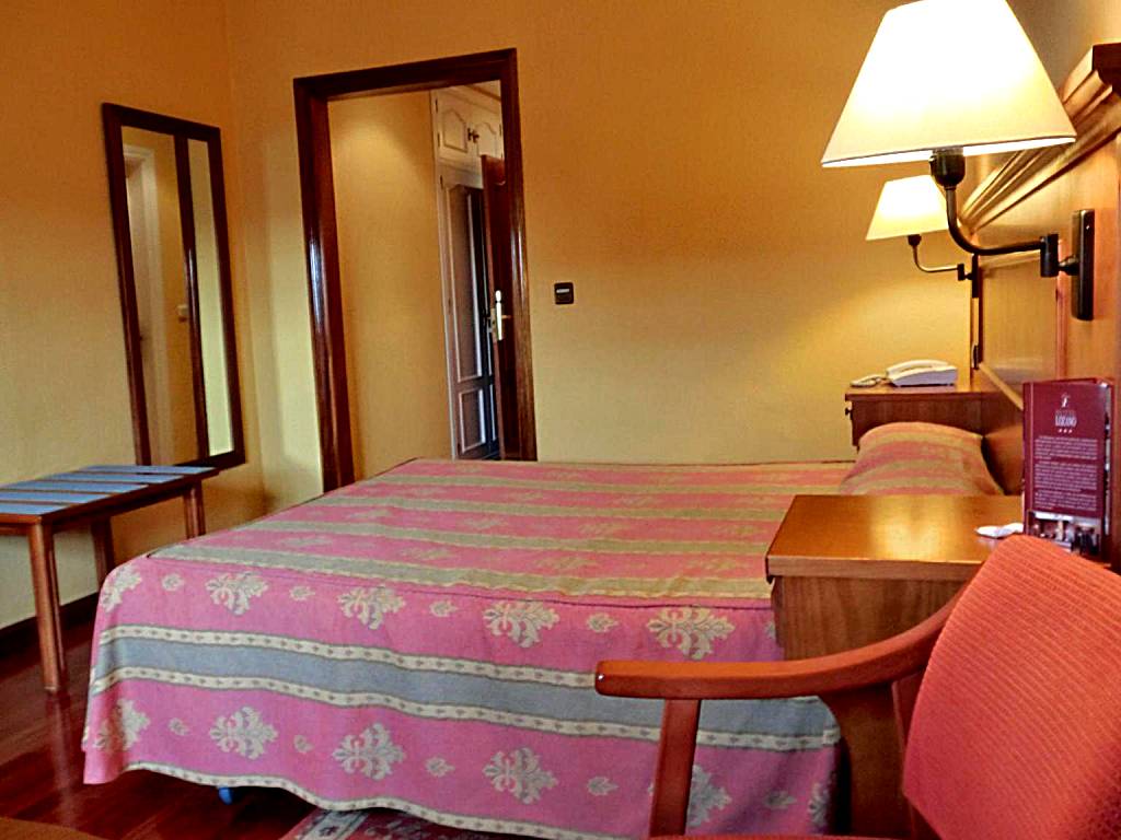 Hotel Lozano: Large Single Room