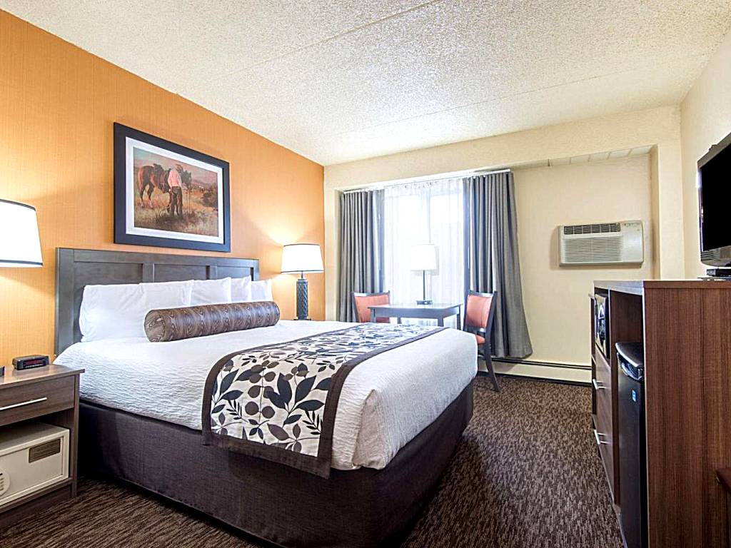 Days Inn & Suites by Wyndham Bozeman: One-Bedroom King Suite - Non-Smoking