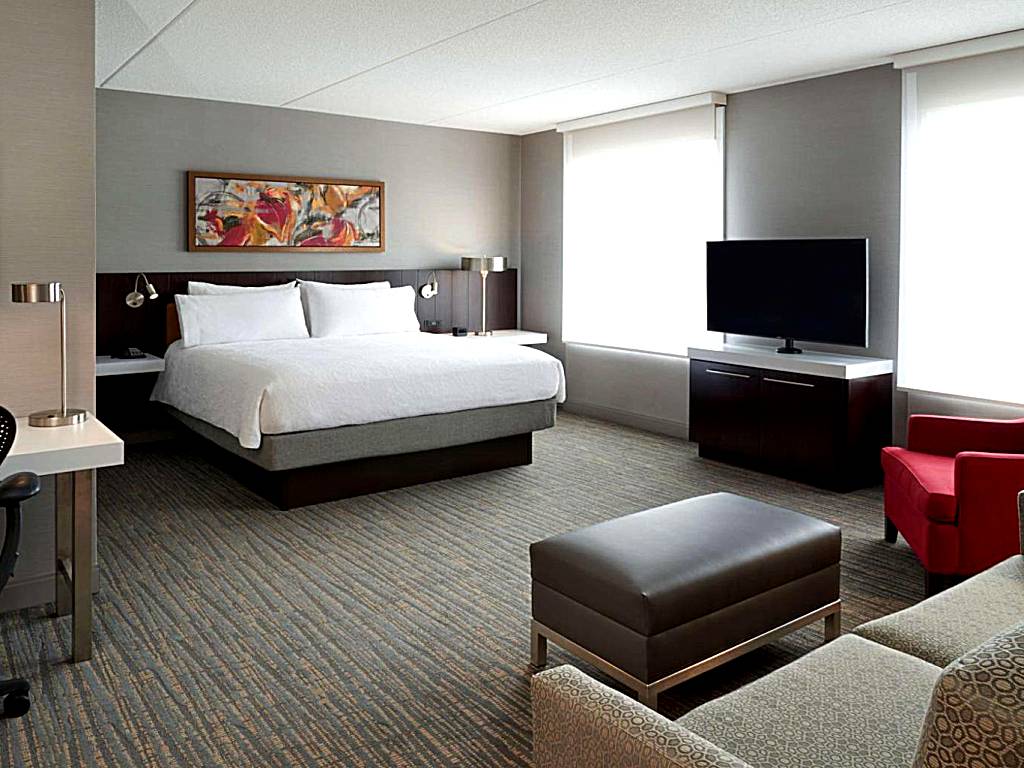 Hilton Garden Inn Toronto Airport West/Mississauga: King Evolution Whirpool Suite