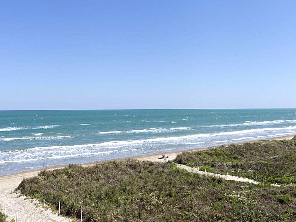 Florence: FL1-Two-Bedroom Beachfront Apartment (6 Adults) (South Padre Island) 