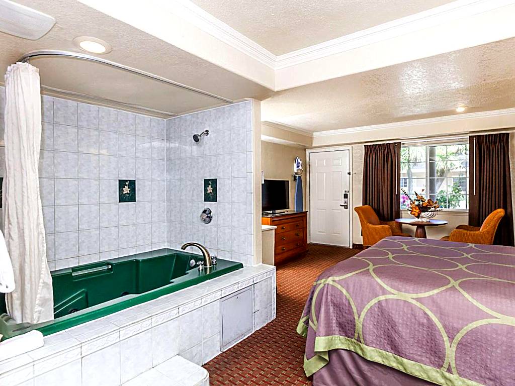 Hotel Rose Garden: Deluxe King Suite - Non-Smoking (San Jose) 